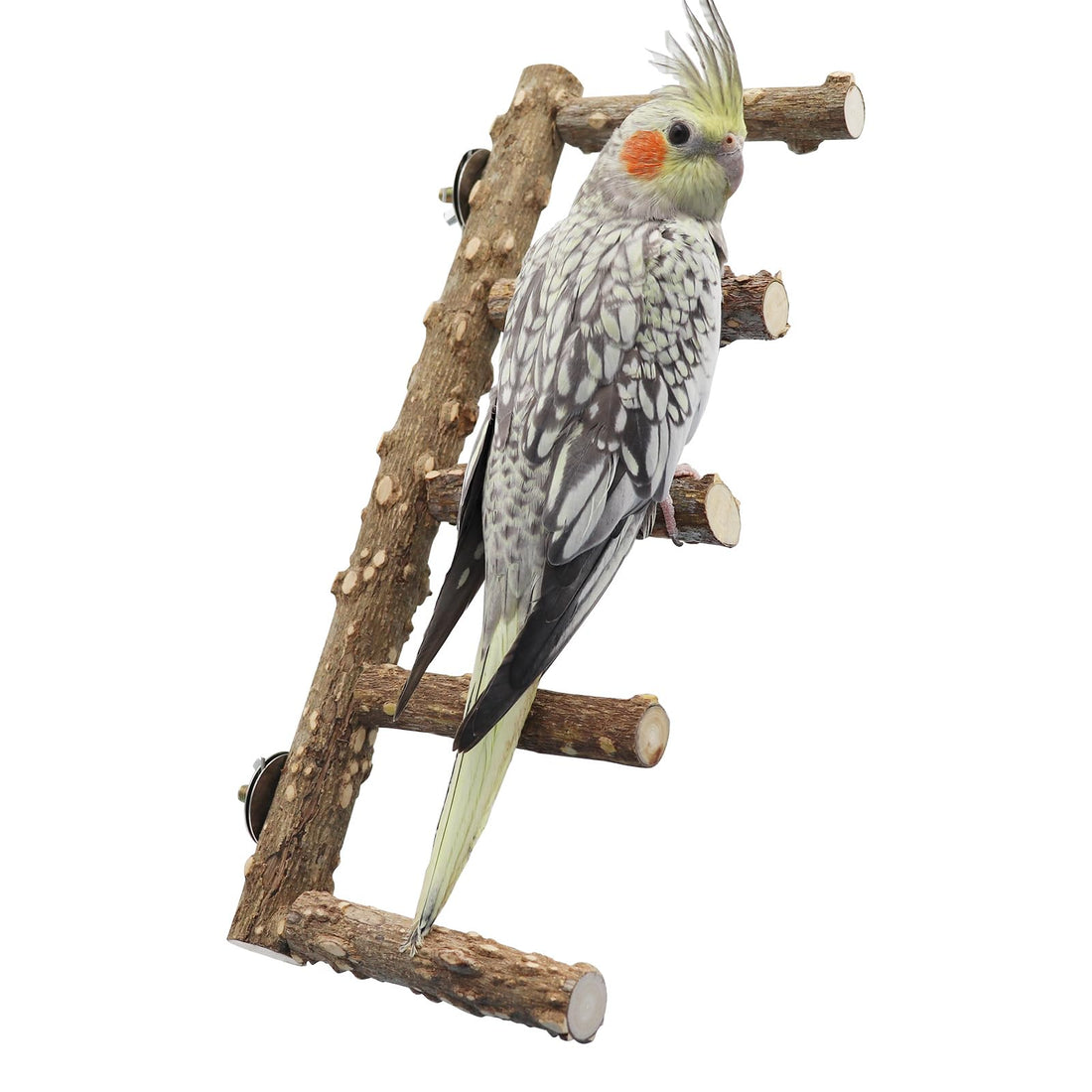 Dnoifne 15.7 Inch Large Bird Perch Stand, Natural Wood Parrot Climbing Ladder Toys, Bird Cage Accessories, Suitable for Small to Medium Sized Birds Parakeets Cockatiels Budgies Lovebirds