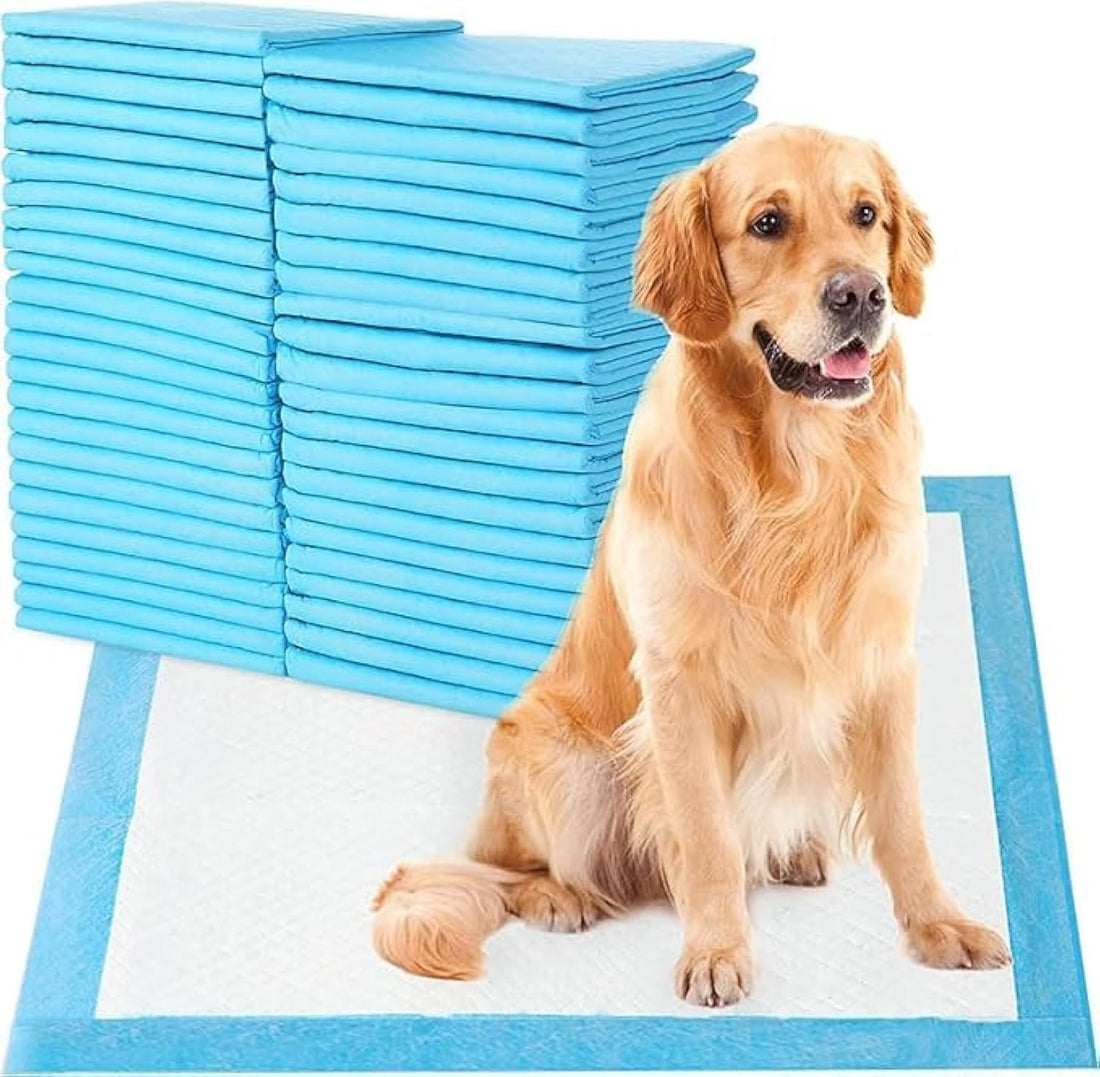 Nyganmelloz Disposable Absorbent Quick Drying Leak-Proof Pee Pads For Potty Training For Pets, 45X60Cm M - 50 Pieces