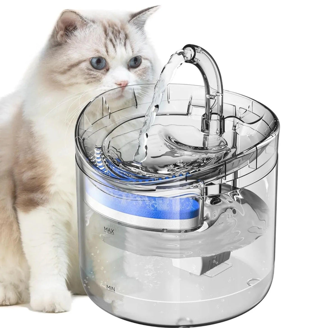 Transparent Cat Water Fountain, Smart Automatic Drinking Dispenser with Ultra-Quiet Pump & Filters, Auto Power-Off, Ideal for Indoor Cats
