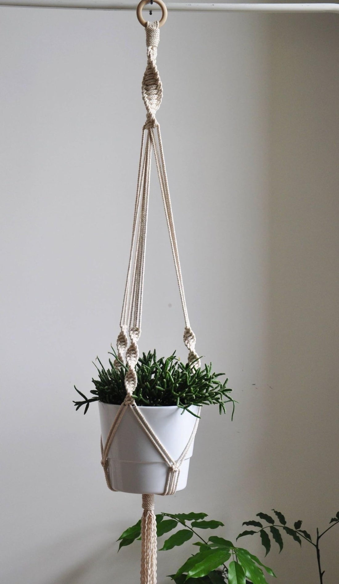 MacrameStore - Plant Hanger - عليقة زرع