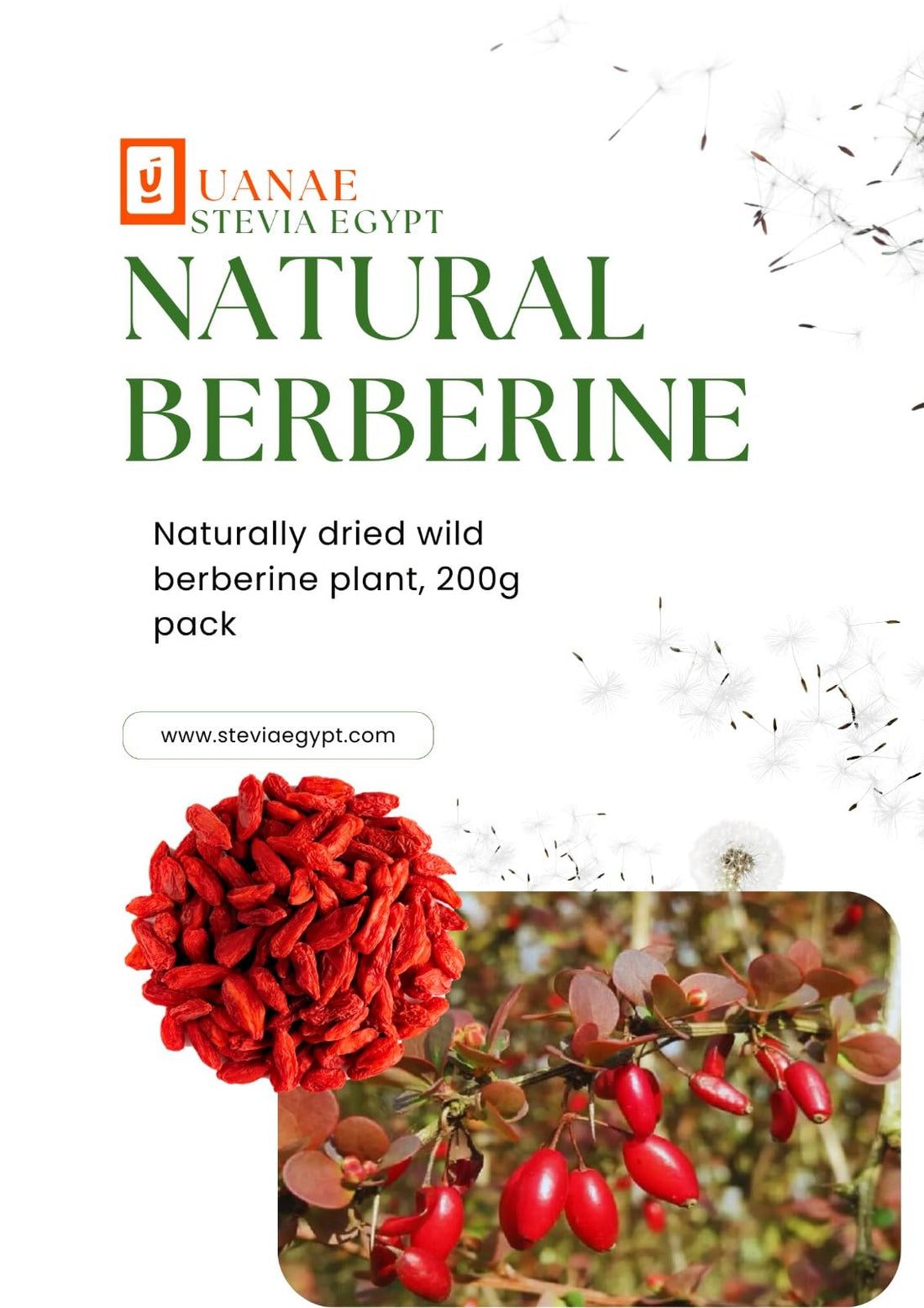 Organic Dried Barberry Berries 200g