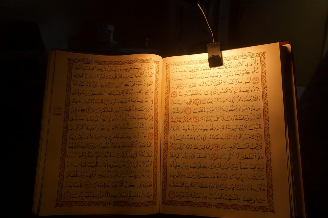 Hallz Foremen Medical Quran Holder with Light