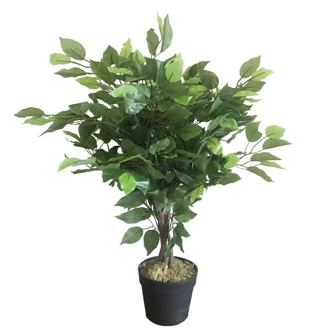 AZ-FICUS Realistic Artificial Ficus Tree/Plant Mini Bush, 60cm