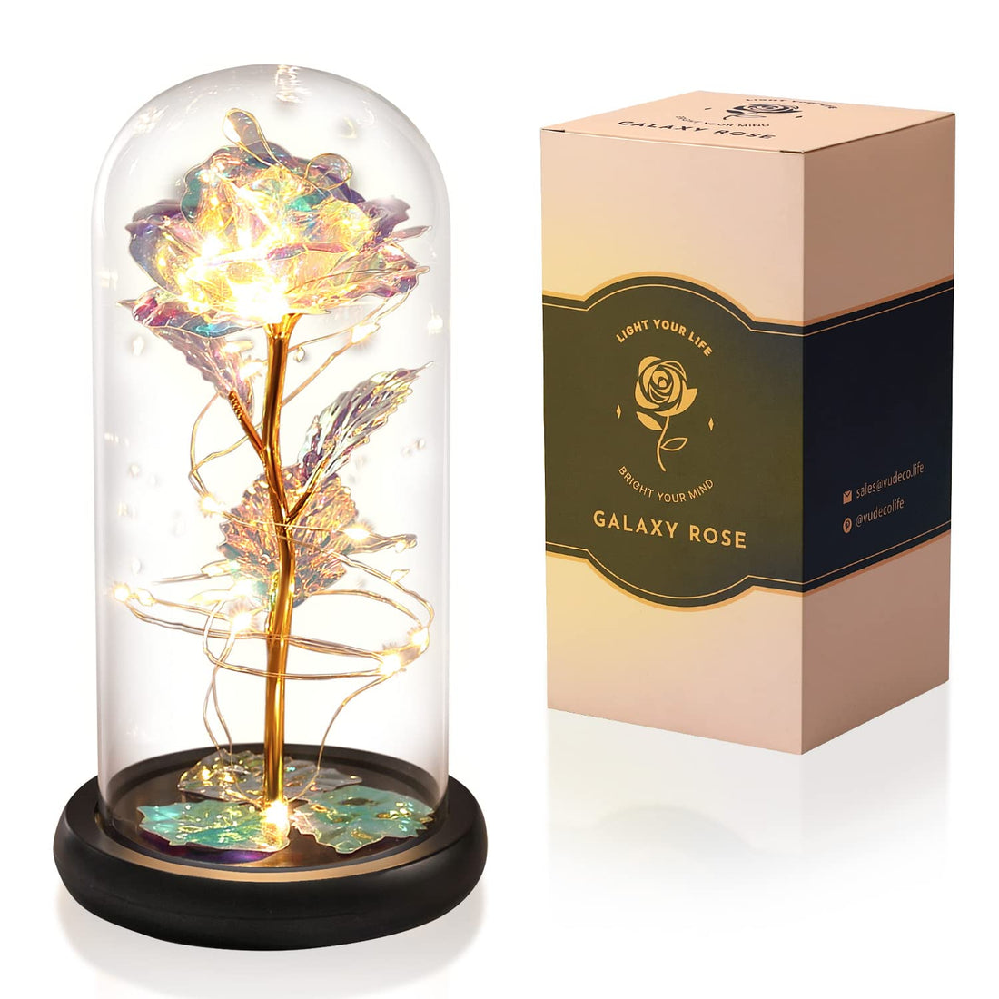 Beauty and The Beast Rose in Glass Dome - Valentines Day Gifts for Her - Galaxy Enchanted Rose, Preserved Infinity Glass Flower With Crystal Light Up