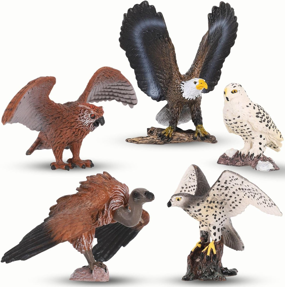 Next Store 5 Pieces Bird of Prey Figurines, Realistic Animal Models Plastic Figurines, Educational Figures Toy Set for Kids and Adults