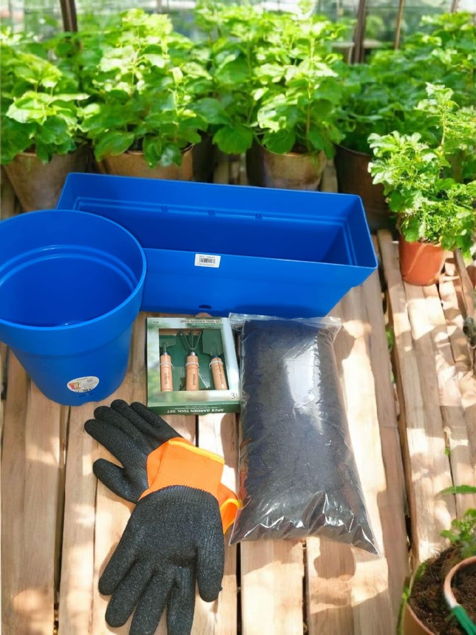 Gardening Tools Set, Blue Plastic Planter Containers, Orange and Black Garden Gloves, with Wooden Hand Tools, for Home Garden Use