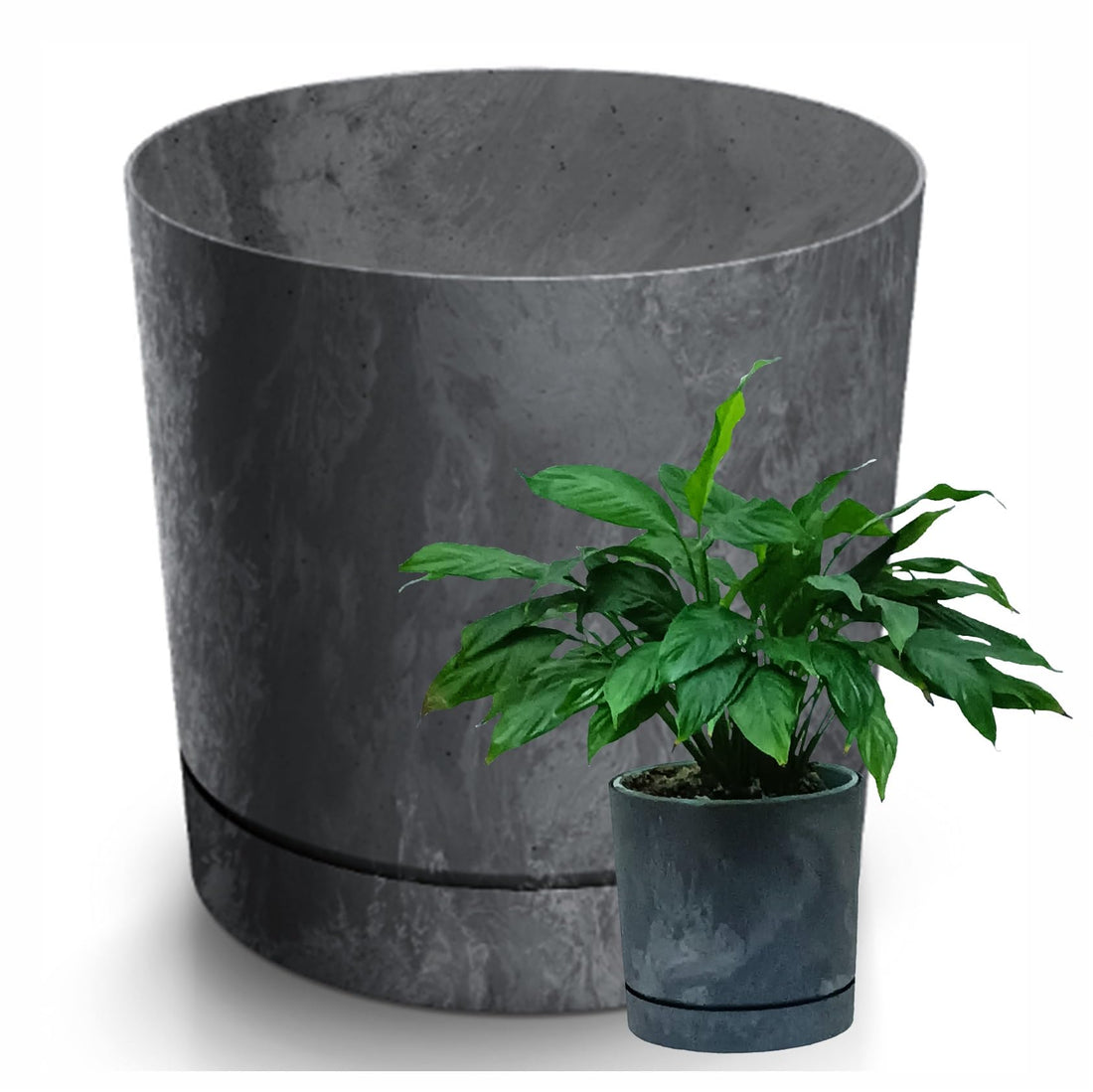Prosperplast