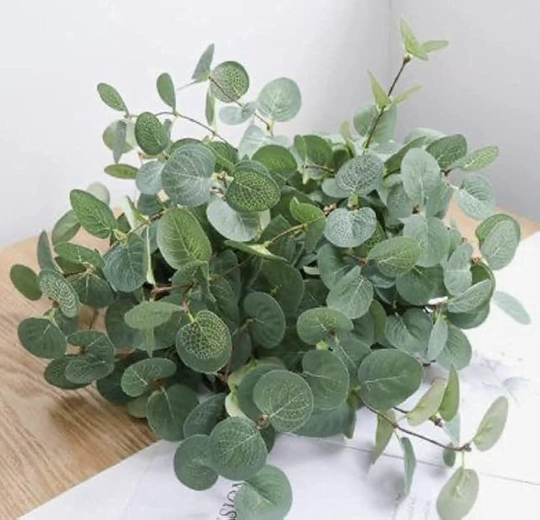 Plant Plant, Rose and Artificial Plant