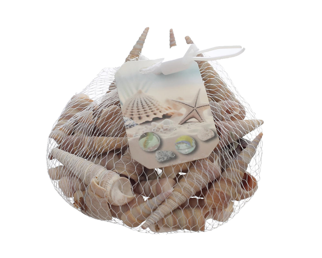 Elmaayergy SEA-7 Decorative Ocean Seashells, Premium Materials Ensure Durability And Professional Finish - Multi Colour
