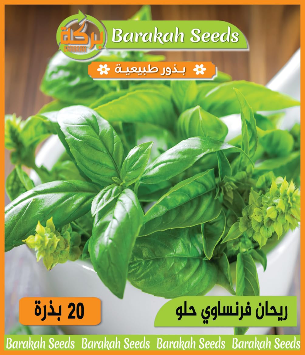 High Germination Seeds for Cooking Herbs - Seeds (Sweet French Basil, Organic, 1)