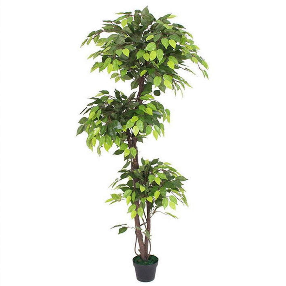 Leaf LEAF-7233 150cm Trunk Artificial Japanese Fruticosa Style Tree, Twisted Natural Ficus