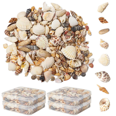JAZZEEL Tiny Natural Mixed Ocean Seashells - 200+ Piece Pack of Miniature Beach Shells for Arts & Crafts Projects, DIY Jewelry, Aquarium Decor, and Filling Fish Tanks or Vases