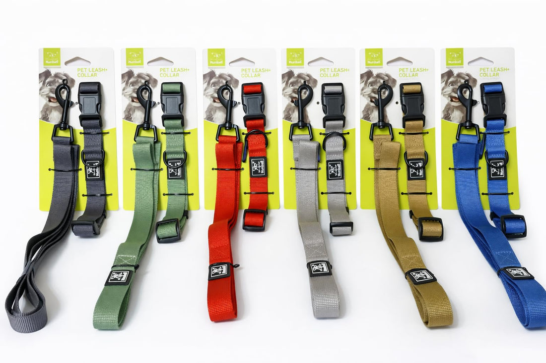 Nunbell Pet Leash and Collar Set, Multiple Colours, 1.5x120cm Leash with 19-27cm Adjustable Collar (Red)