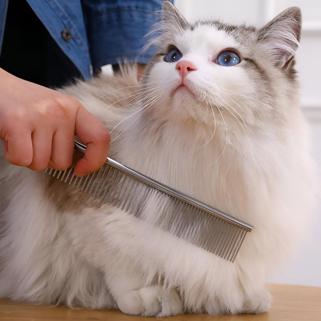 Strong Pet Brush - Stainless Steel Curing Brush for Cats and Dogs, Reduces Drops and Dirt, Provides Comfortable Curing, Washable and Easy to Clean, Ideal for Pet Owners