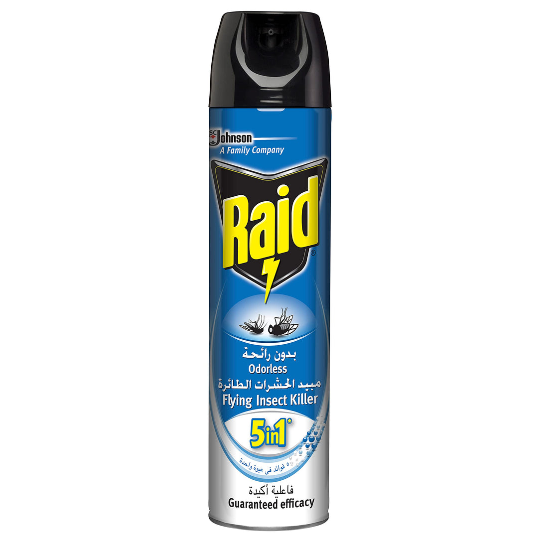 Raid