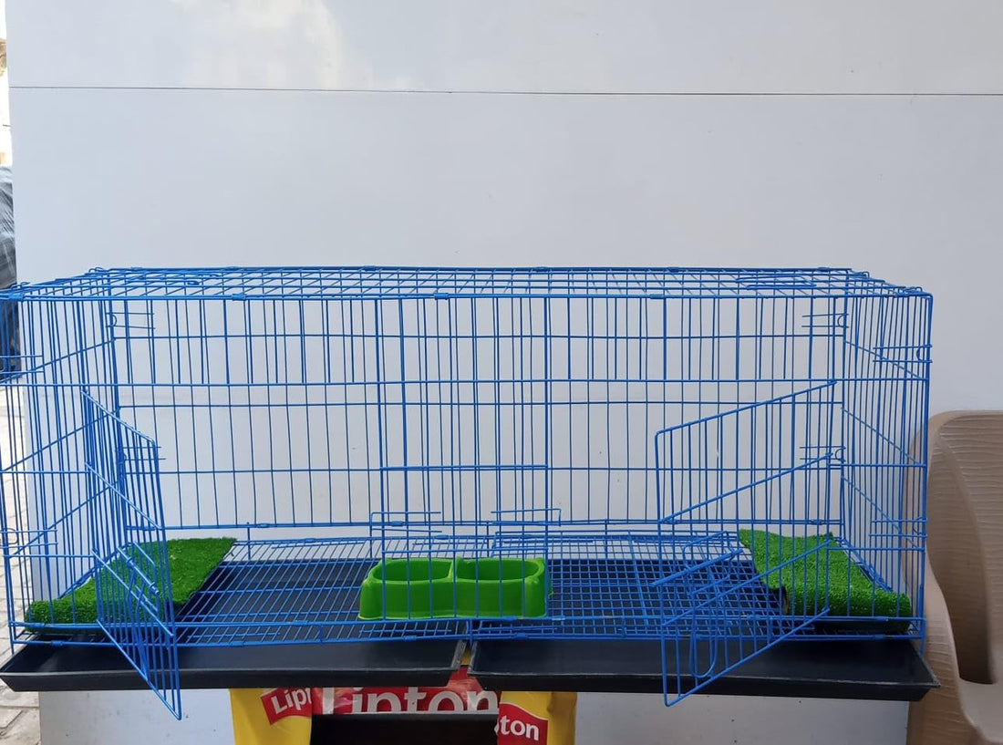 Generic Iron Cage for Small Breeds, Durable, 120cm (W) x 55cm (H) x 55cm (D), Blue