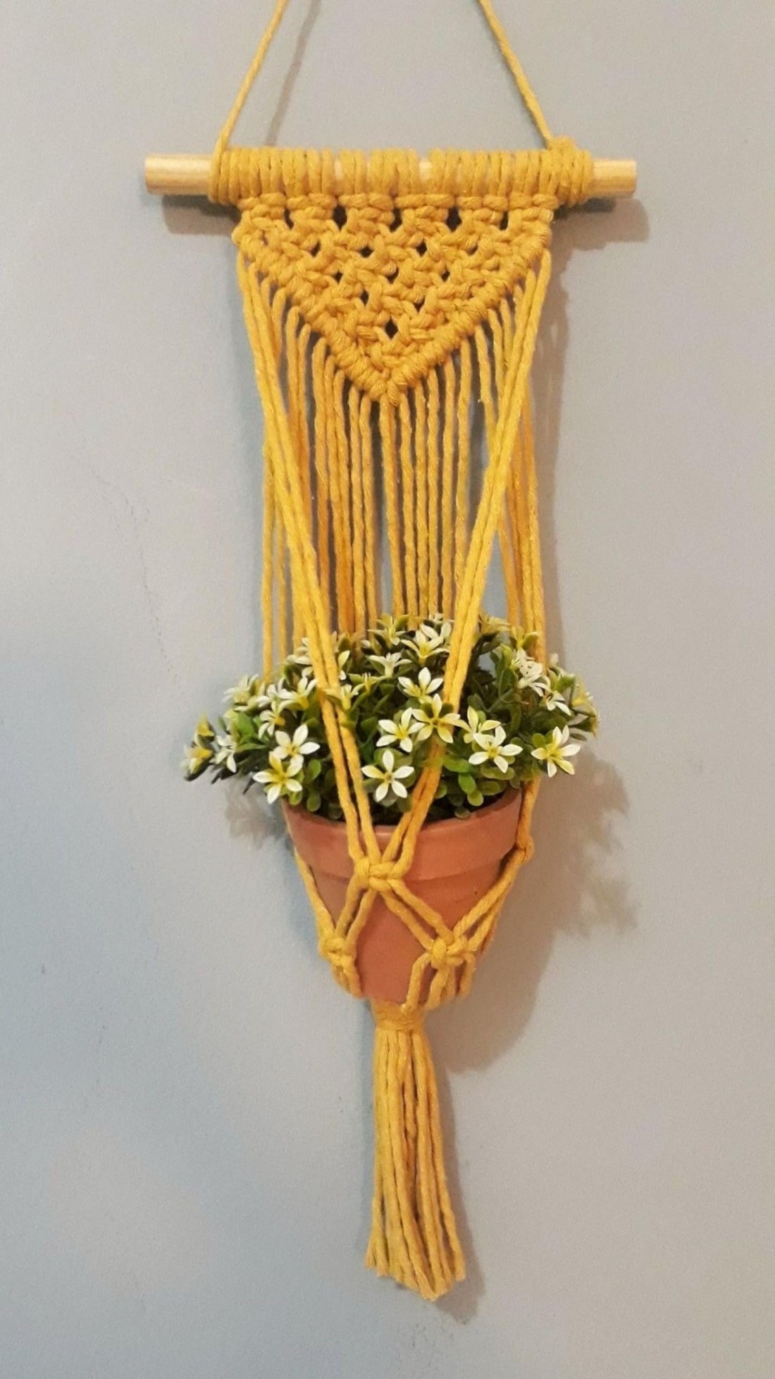 MacrameStore - Plant Hanger - عليقة زرع