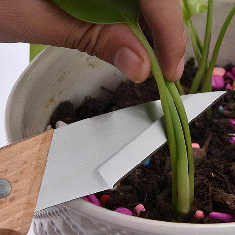 Pruning Knife - Ergonomic Garden Grafting Tool Suitable for Tight Space Cuts, Featuring Sharp Edge, Durable Build, and Ease of Use for Gardeners and Horticulturists Focused on Plant Care and Propagati