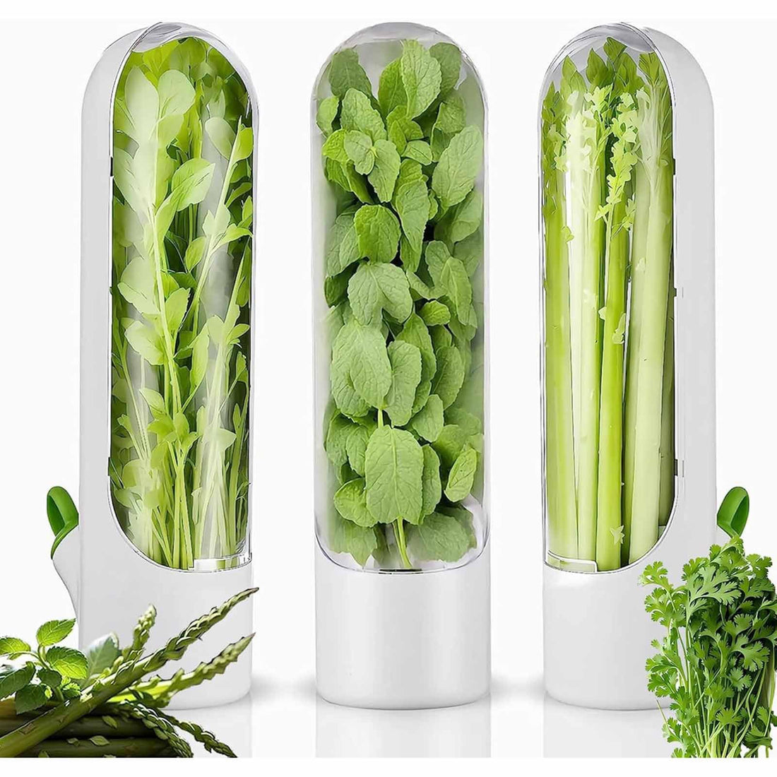 Eagle Shop Herb & Vegetable Keeper Multicolor (1 Piece Only) Get It - igle shop1