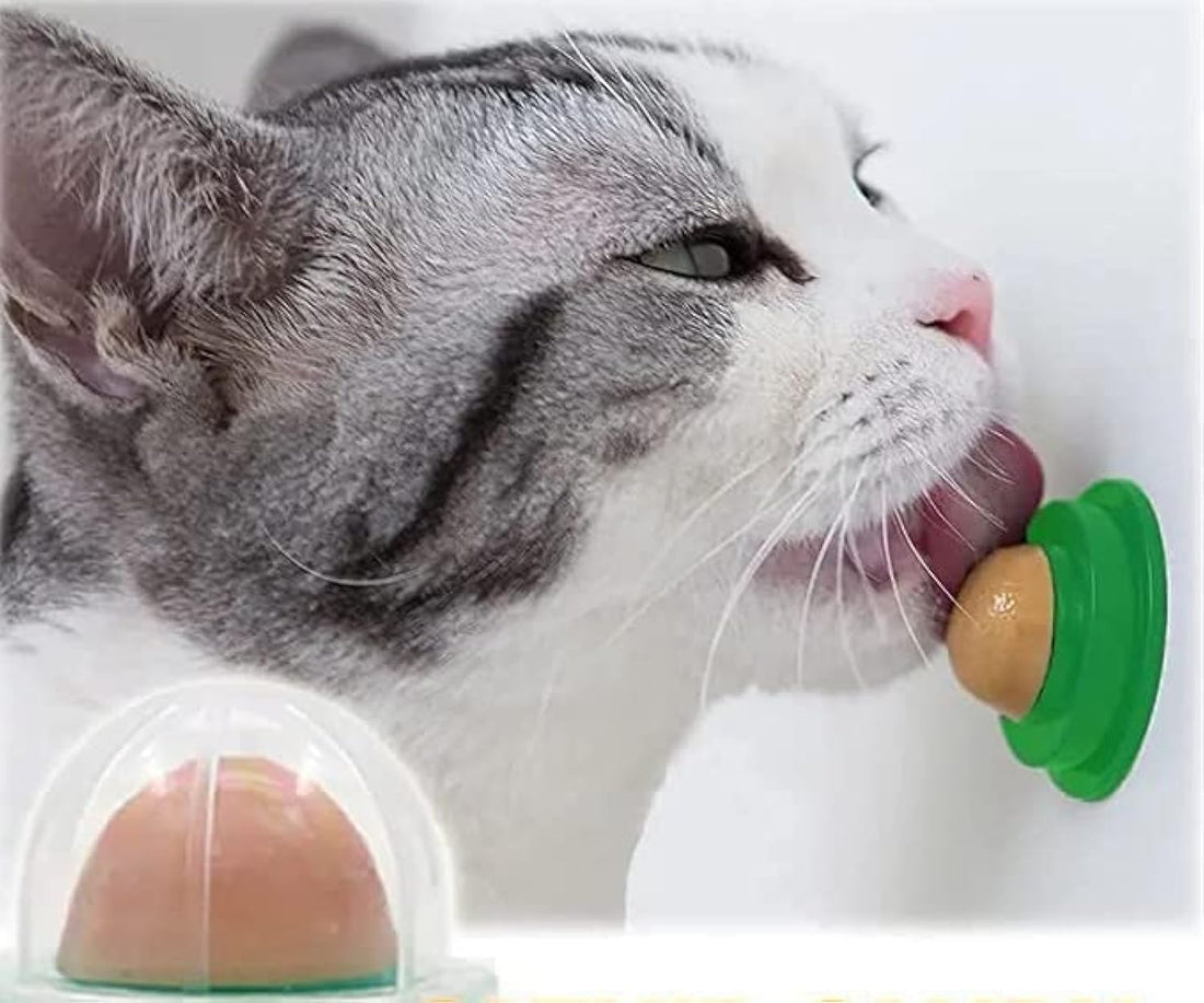 Catnip Ball for Cats