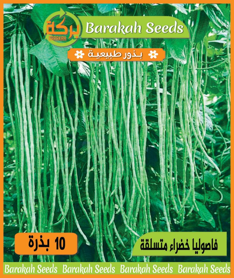 Imported Natural Seeds for Plant (Climbing Green Beans)