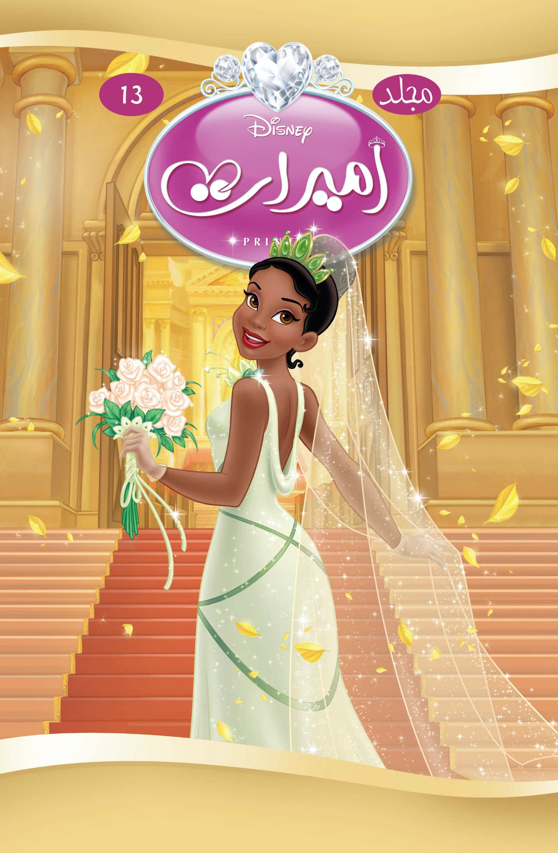 مجلد اميرات رقم13