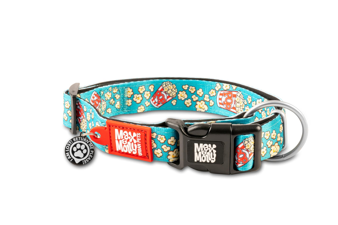 Max & Molly Smart ID Collar - Design Popcorn/L SIZE