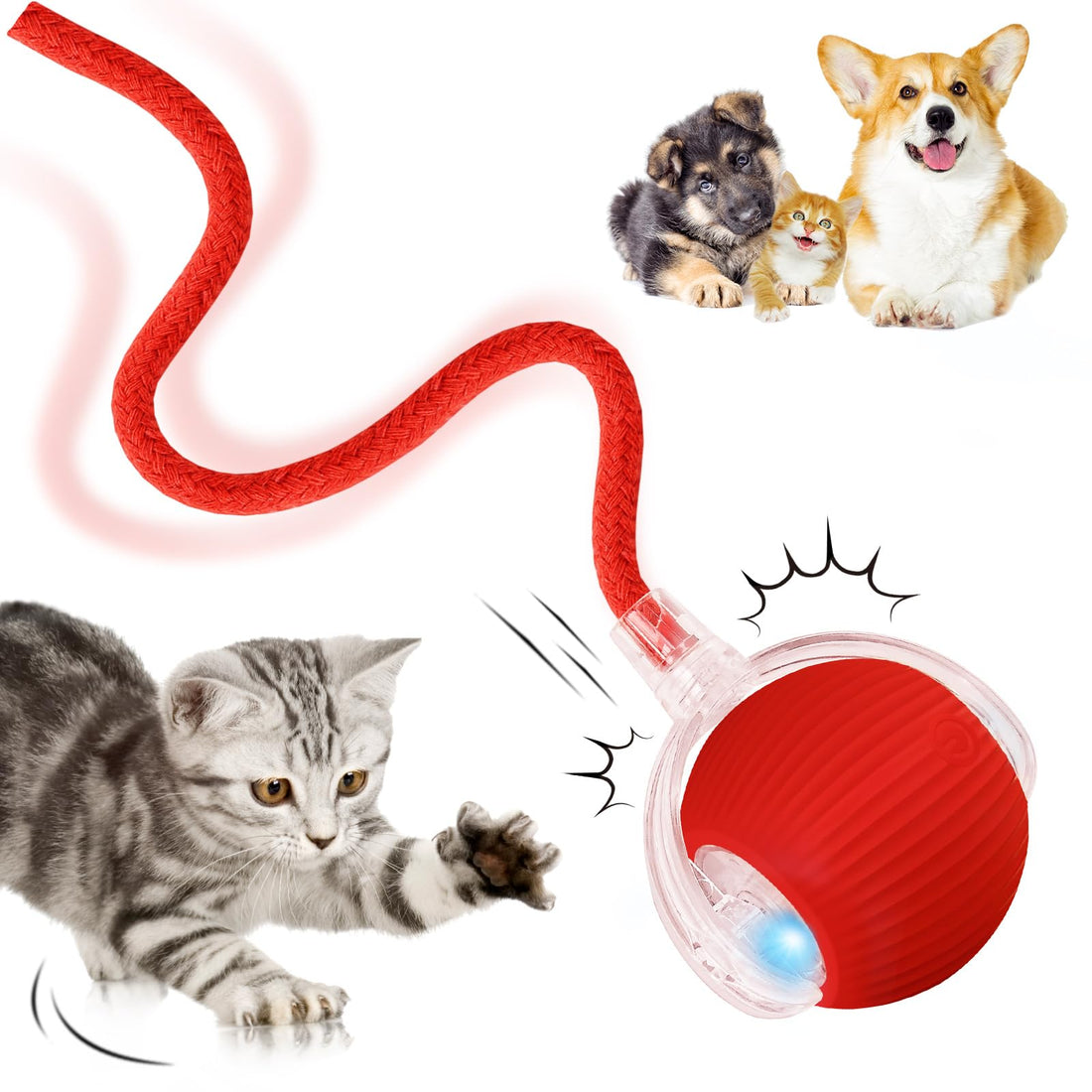 Interactive Cat Ball Toy, Electric Automatic Toys for Indoor Cats, Active Rolling Dog Ball Toy, 360°Smart Fast Rolling Pet Ball for Cats and Dogs, USB Rechargeable Moving Cat Toys Self Play(Red)