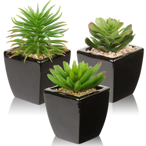Industrial Succulents Plants in Potted Artificial Succulents Plants in Black Ceramic Pot for Home Office Bathroom Rack Living Room Decor,3 Pcs