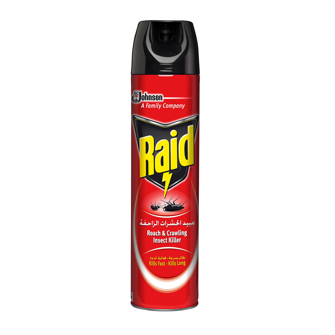 Raid