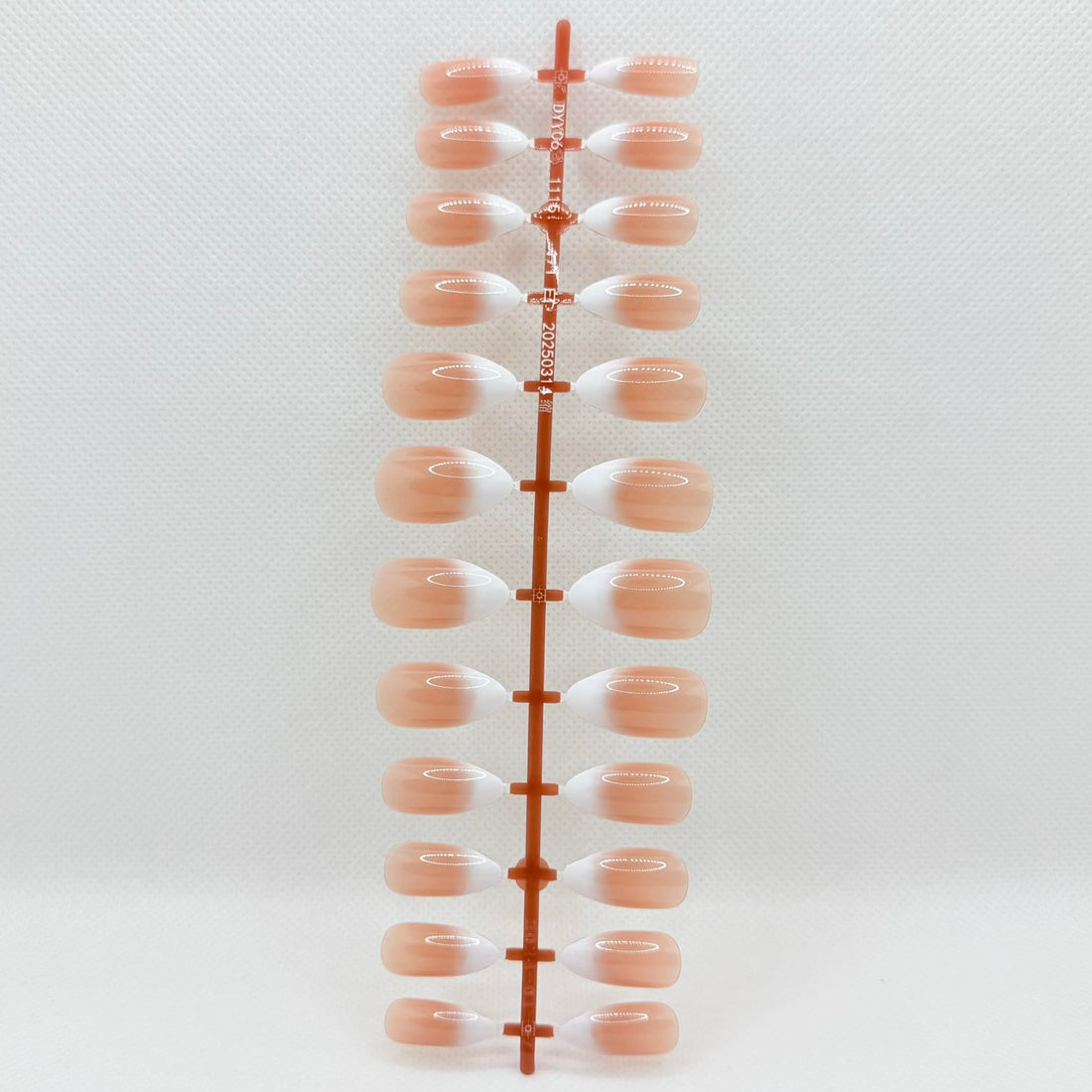 Long Ombre Press On Nails 24PCS – Premium Reusable Fake Nails for Women – Glossy Salon Style Manicure – 12 Trendy Colors (Natural 2)