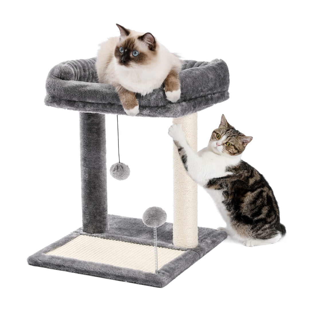 PAWZ Road Cat Tree Scratching Post with Soft Perch Nest Sisal-Covered Scratch Posts and Pads with Play Ball Great for Kittens and Cats