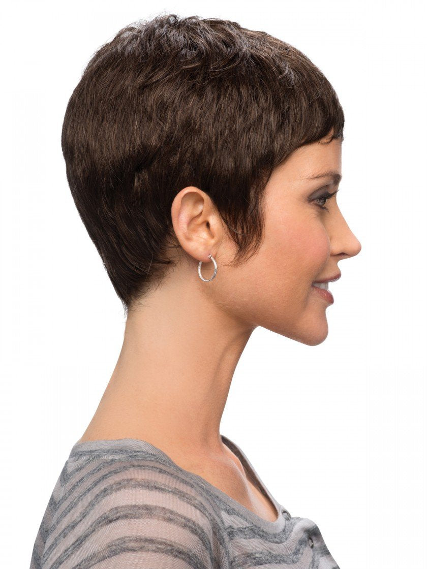 ECIF Fashion Exotic Elegant Fluffy Short Straight Wigs For Women Brown Sw0088