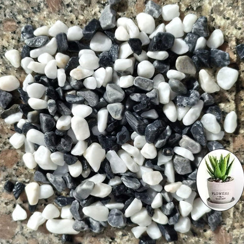 2LB Mixed Color Natural Gravel Pebbles, Cactus and Succulent Plants Pebbles, Small Decorative Polished Stones, River Rocks for Potted Plants, Vases, Aquariums, Terrarium and Outdoor Gardening