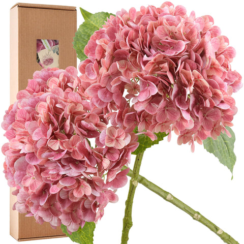 FiveSeasonStuff Real Touch Silk (Magenta Pink) Hydrangea Flowers, 2 Large Long Stem Artificial Flowers for Floral Arrangements