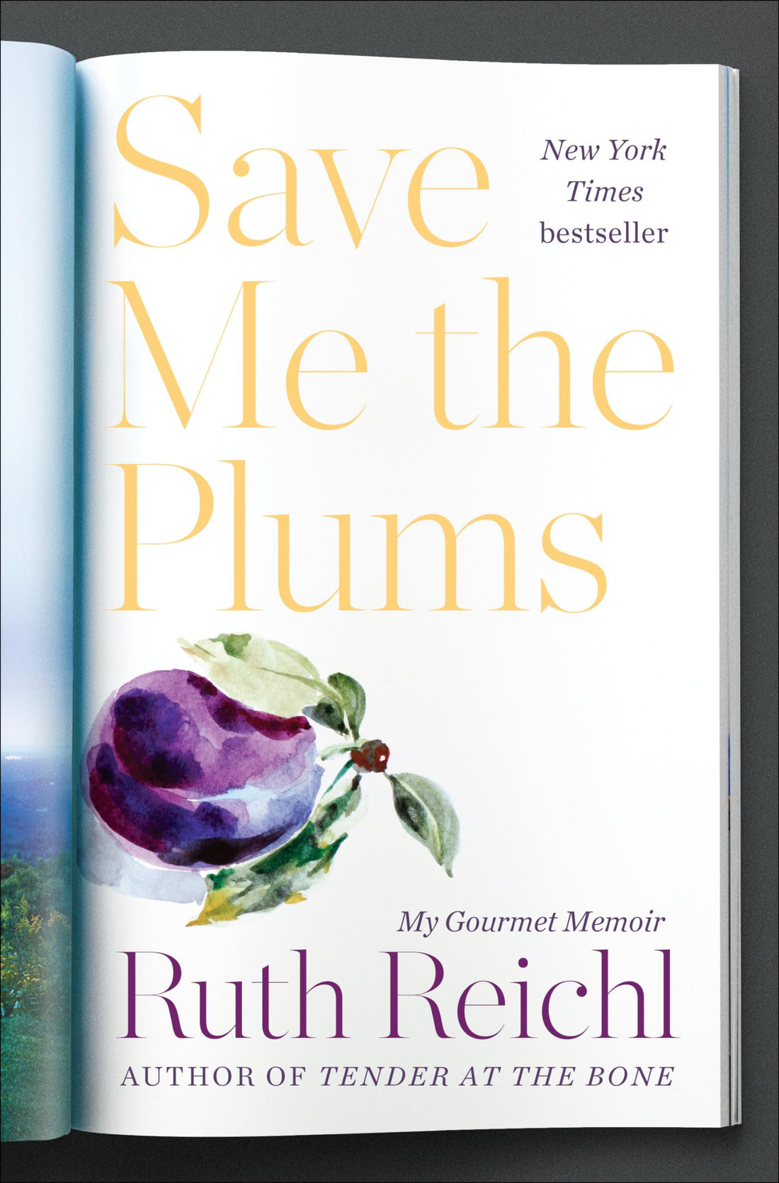 Random House Books for Young Readers Save Me the Plums: My Gourmet Memoir