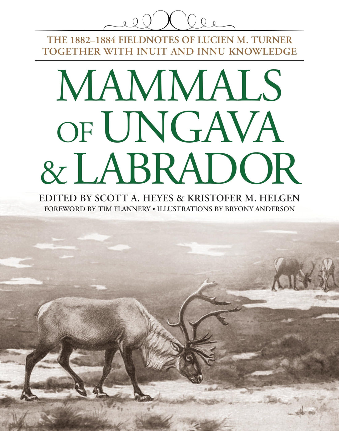 Mammals of Ungava and Labrador: The 1882-1884 Fieldnotes of Lucien M. Turner together with Inuit and Innu Knowledge