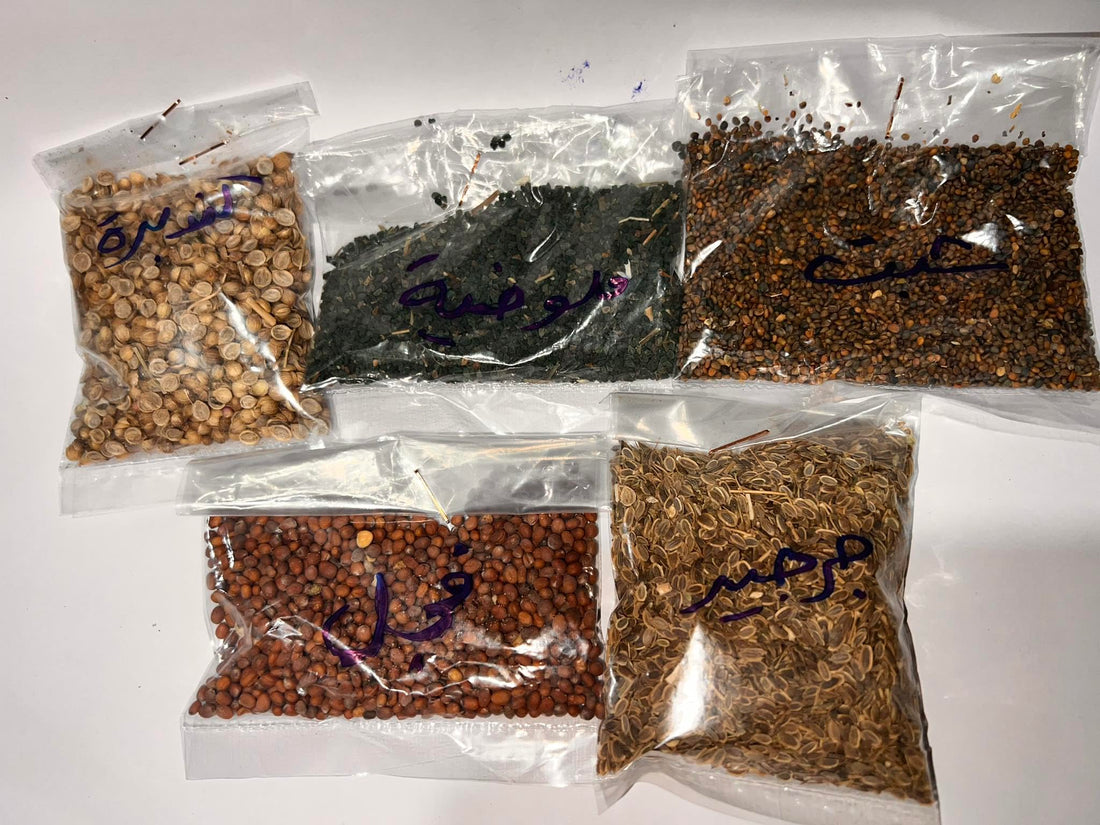 5 Assorted Varieties Vegetable Seeds - Arugula, Dill, Coriander, Radish, Mallow for Home Farming, Balcony Planting