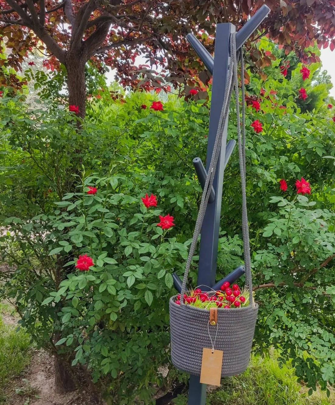 NatureNest Hanging Basket,(60×20×20),from woven it