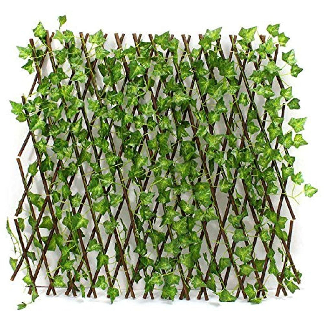 Bamboo garden fence with a medium sized vegetable garden