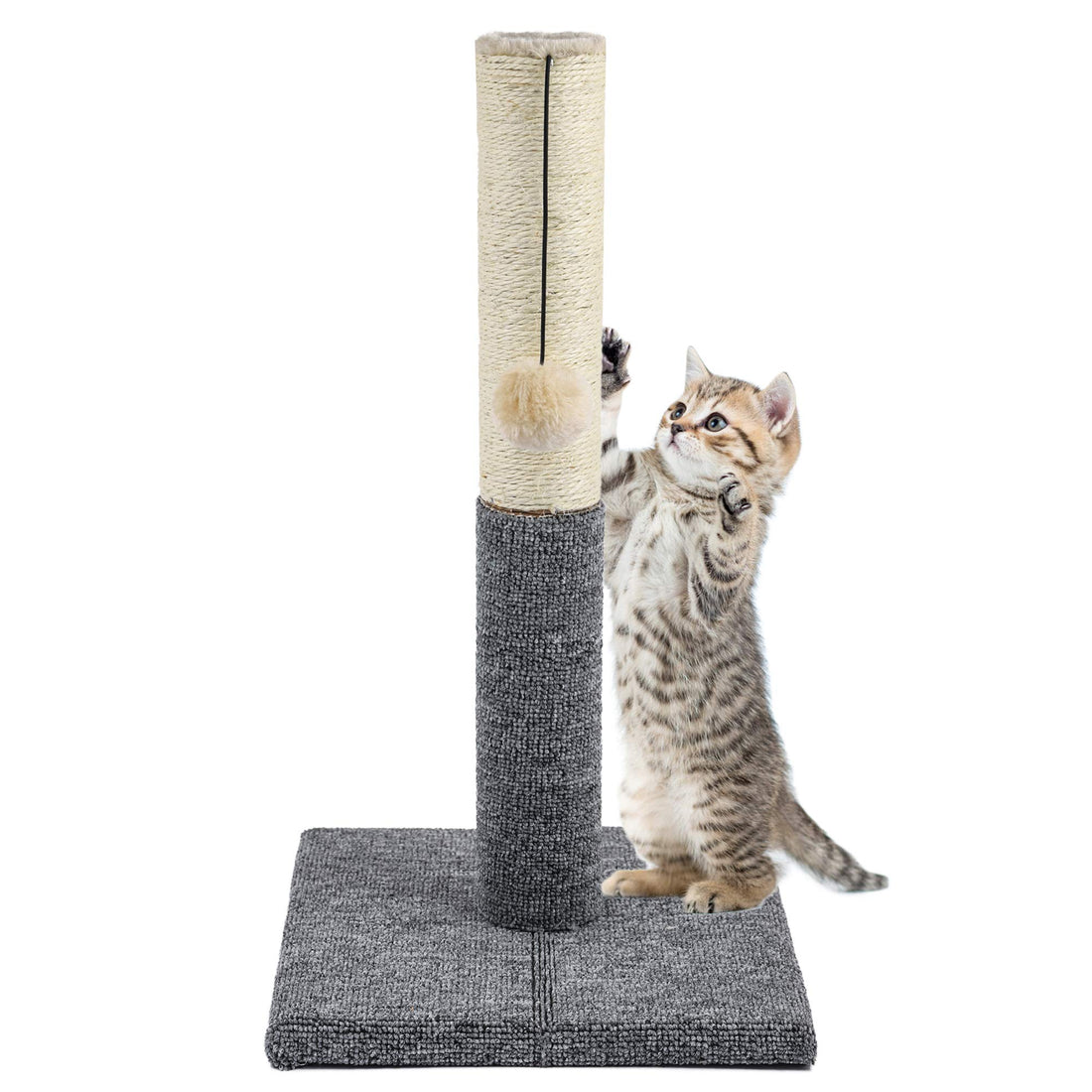 20.5'' Tall Cat Scratching Post, Kitty Scratching Post with Hanging Ball, Durable Cat Scratcher Pole with Sisal Rope