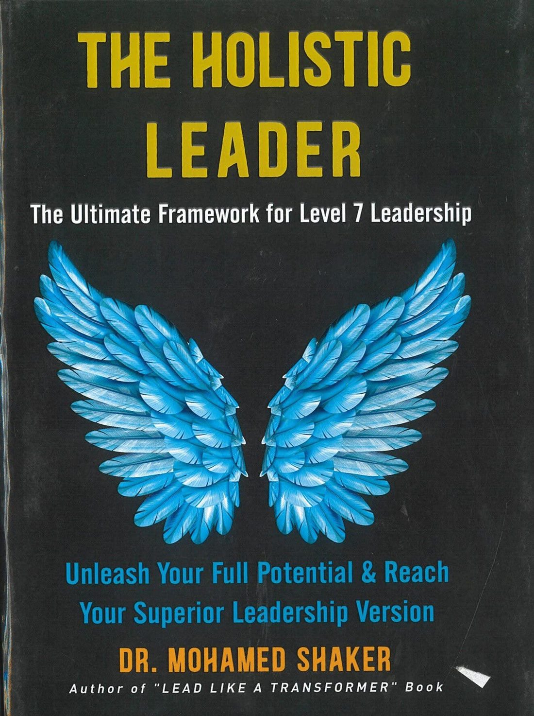 The Holistic Leader