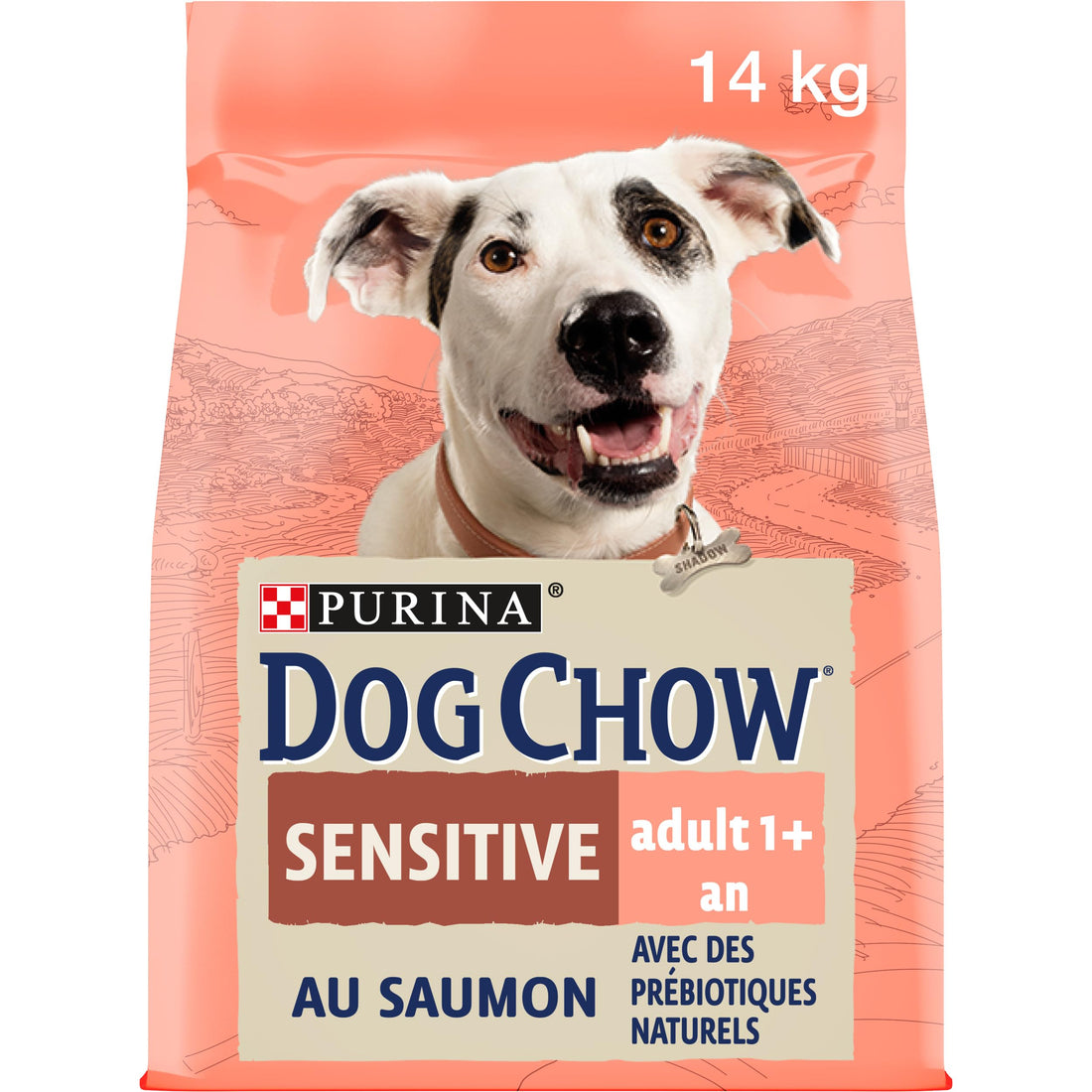 Dog Chow Sensitive Salmon 14kg