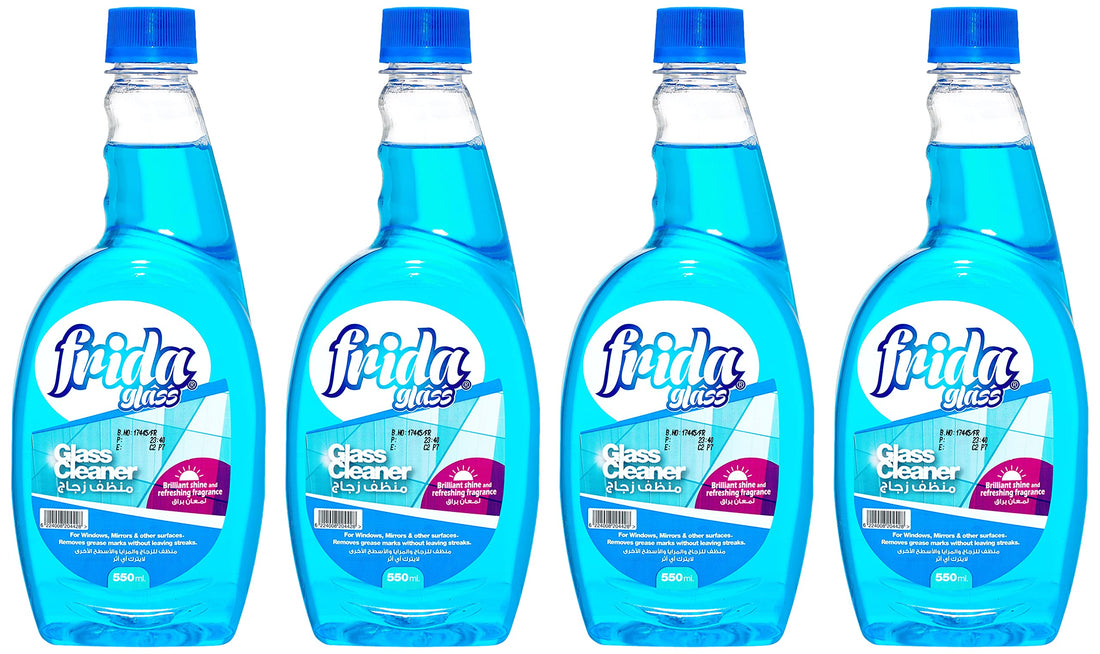 Frida Glass economy 600ml 1+3
