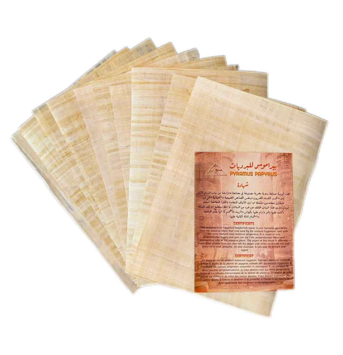 10 Blank Egyptian Papyrus Sheets for Art Projects and Schools 8x12in 20x30cm (thick, grade 1)