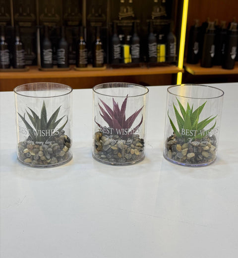 Generic Artificial Cactus in Glass Vase with Pebbles, Best Wishes Design, Decorative Succulent Plant Set, Multiple Colors