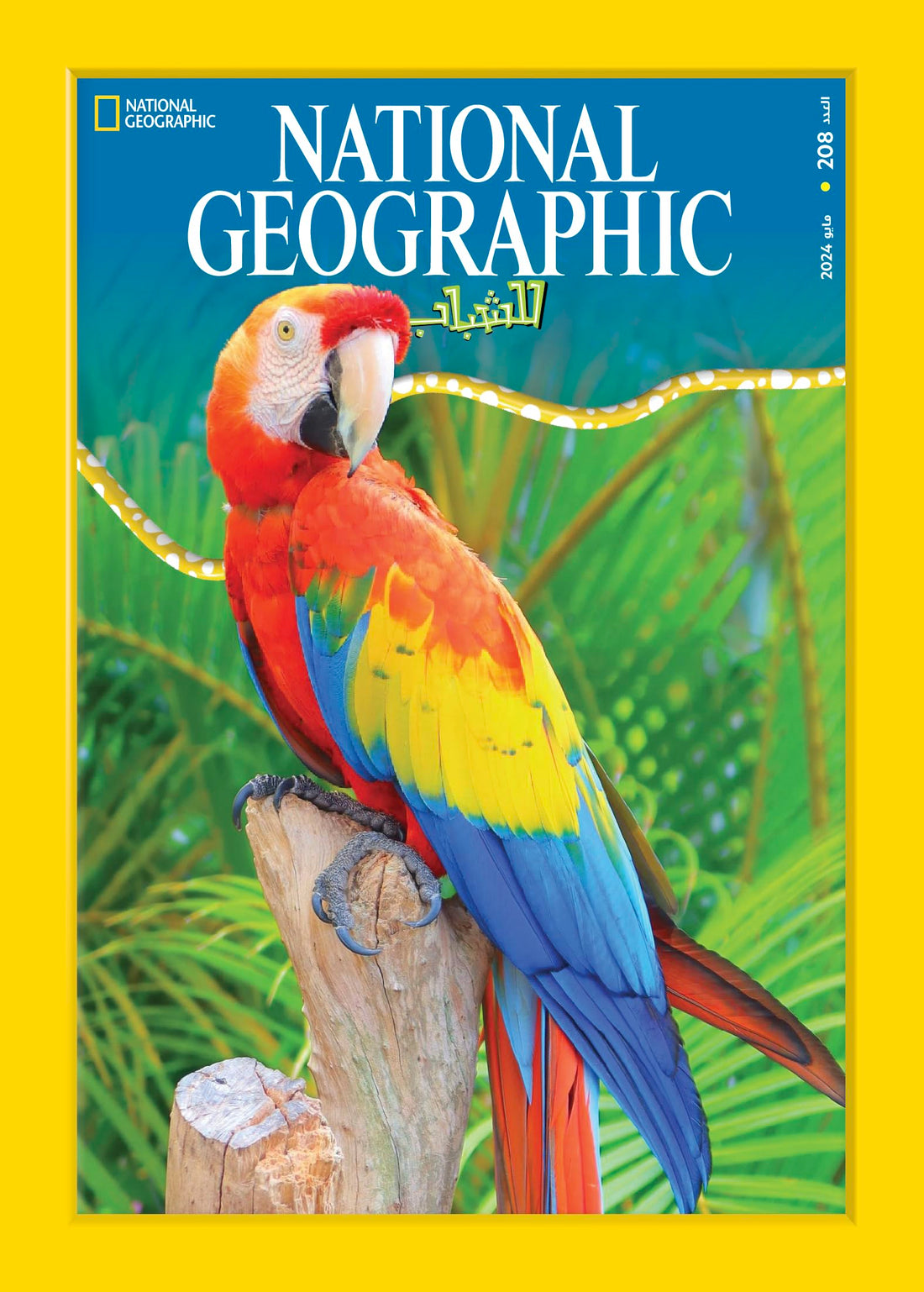 نهضة مصر مجلة ناشيونال جيوجرافيك للشباب - National Geographic magazine العدد208
