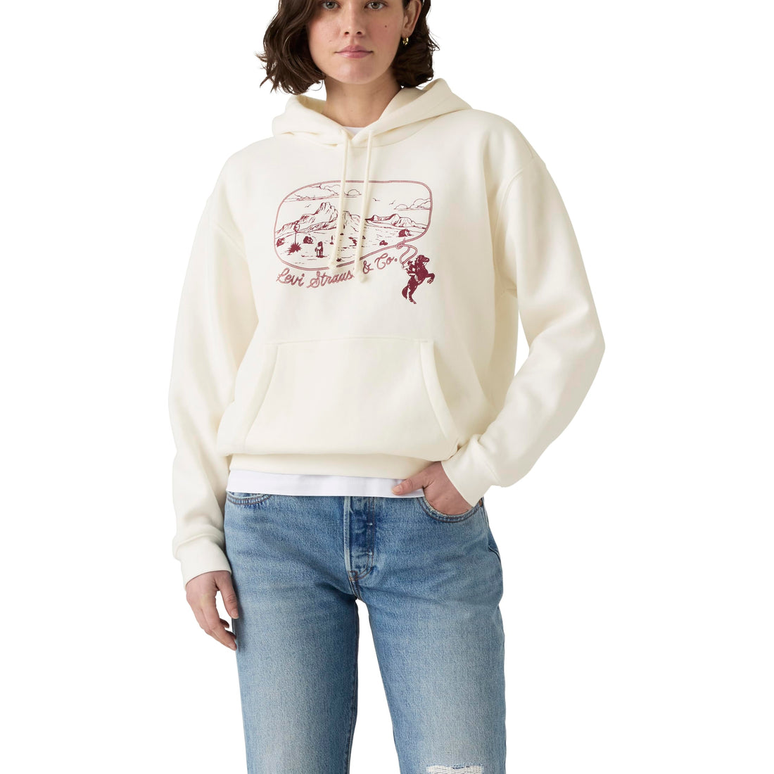 Levi's womens Women's Everyday Hoodie Sweatshirt (pack of 1)