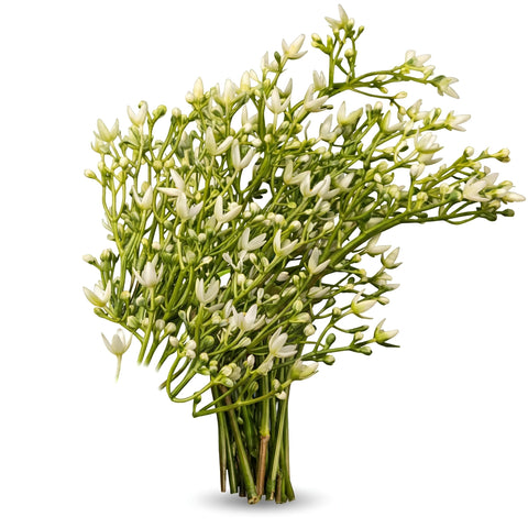 Waterproof Artificial Flower - DIY Permanent Plastic Floral Arrangements for Indoor & Outdoor Decor, Long-Lasting Fake Plants with Realistic Texture and Vibrant Colors (Option 1, 2PCS)