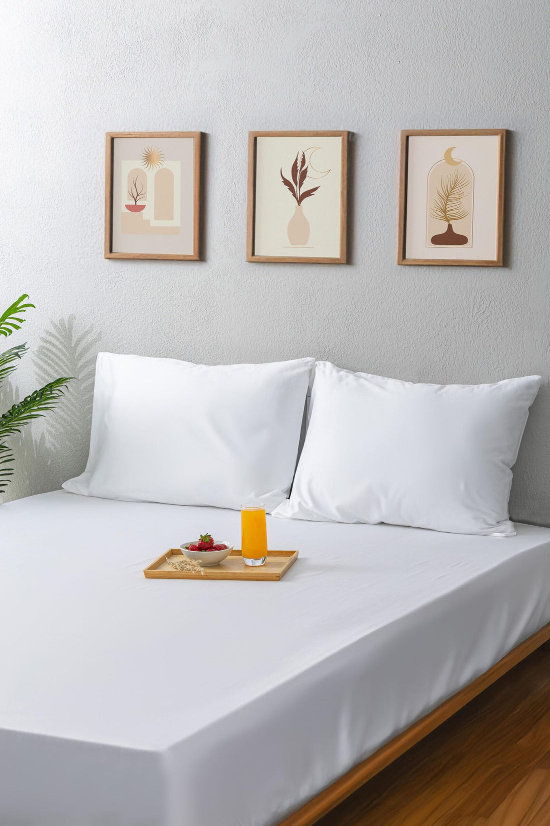 nit - White Fitted Sheet - Solid - (400 TC) 100% Egyptian Cotton - White, Queen